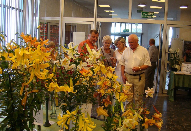 Zdjęcie w galerii na portalu naszwodzislaw.com: W mieście brakuje kwiatów? wiadomości z regionu