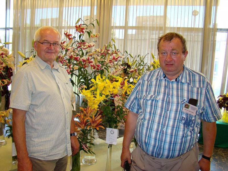 Zdjęcie w galerii na portalu naszwodzislaw.com: W mieście brakuje kwiatów? wiadomości z regionu