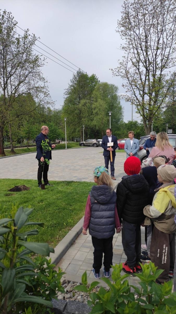 Zdjęcie w galerii na portalu naszwodzislaw.com: Dąb Pokoju w Mszanie. Symbol pamięci o Tragedii Górnośląskiej wiadomości z regionu