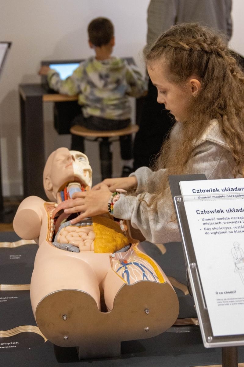 Zdjęcie w galerii na portalu naszwodzislaw.com: Złap mnie, jeśli potrafisz i Człowiek układanka. Nowości w wodzisławskiej strefie SOWA wiadomości z regionu