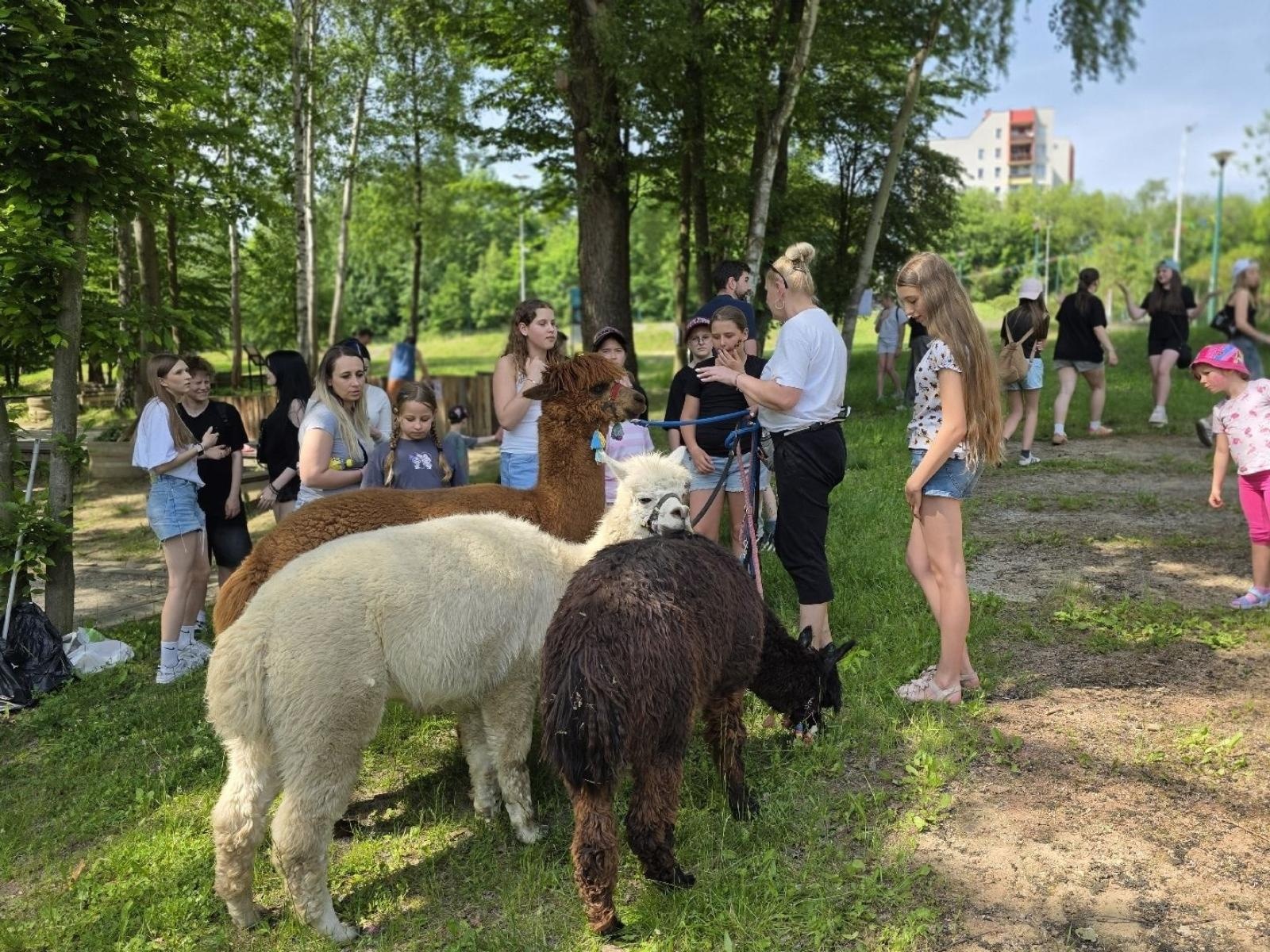 Zdjęcie w galerii na portalu naszwodzislaw.com: Weekend, który połączył mieszkańców. Kultura i integracja na Trzech Wzgórzach [FOTO] wiadomości z regionu