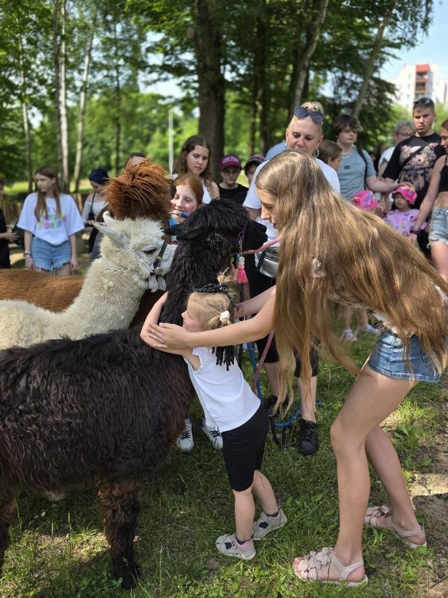 Zdjęcie w galerii na portalu naszwodzislaw.com: Weekend, który połączył mieszkańców. Kultura i integracja na Trzech Wzgórzach [FOTO] wiadomości z regionu