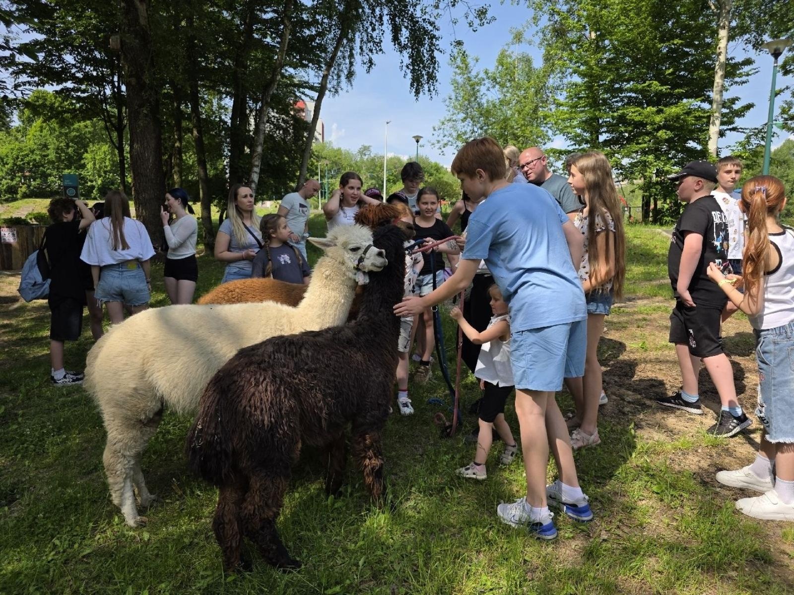 Zdjęcie w galerii na portalu naszwodzislaw.com: Weekend, który połączył mieszkańców. Kultura i integracja na Trzech Wzgórzach [FOTO] wiadomości z regionu