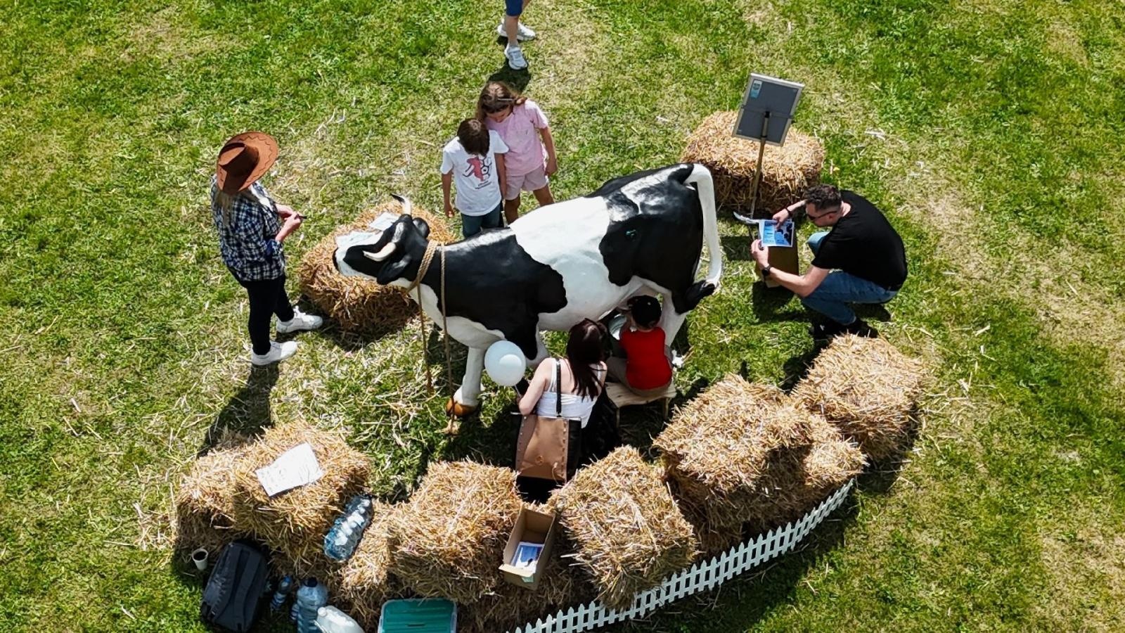 Zdjęcie w galerii na portalu naszwodzislaw.com: Weekend, który połączył mieszkańców. Kultura i integracja na Trzech Wzgórzach [FOTO] wiadomości z regionu
