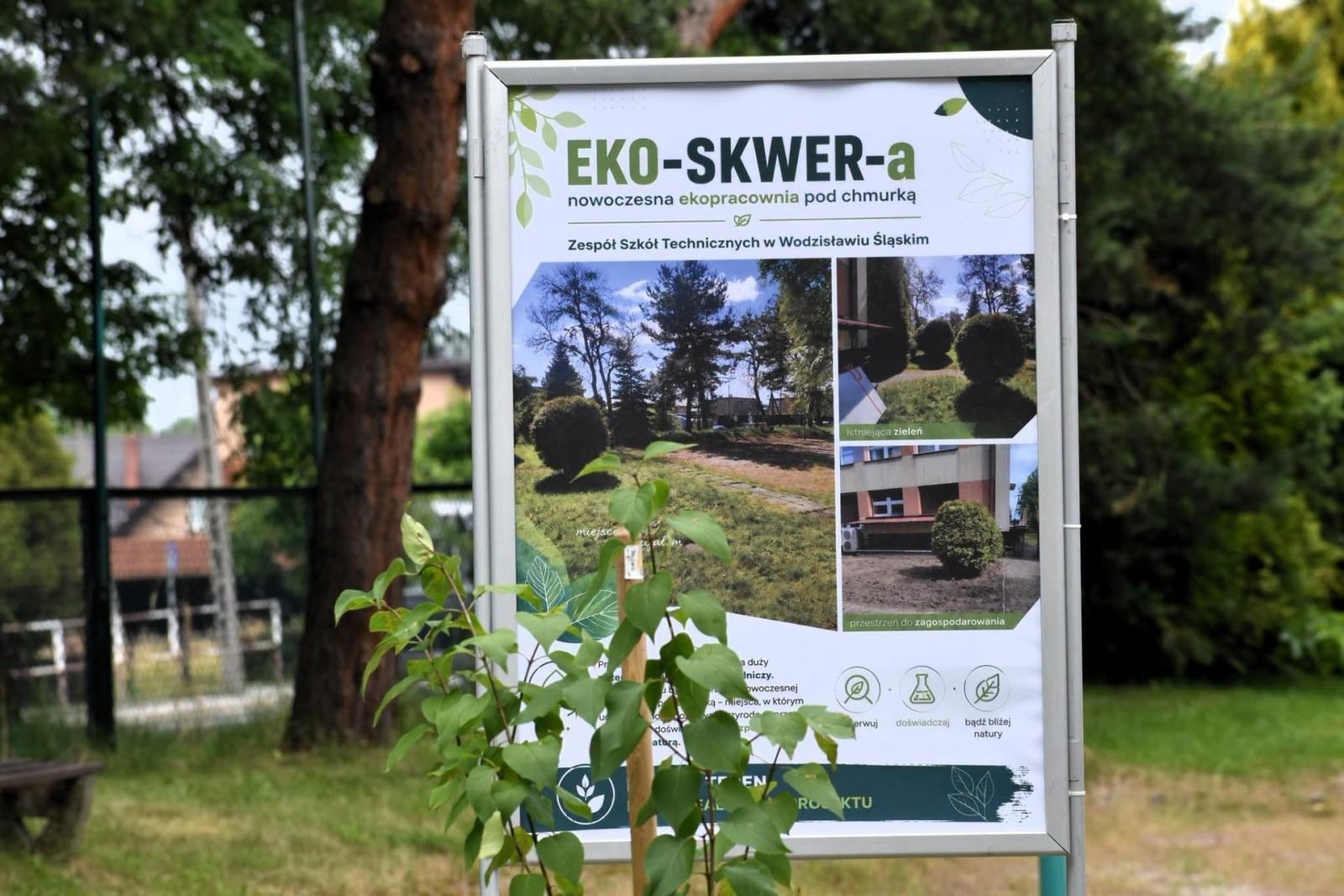 Zdjęcie w galerii na portalu naszwodzislaw.com: Zamiast klasy – ogród. Wyjątkowa inwestycja powstała w wodzisławskim ZST wiadomości z regionu