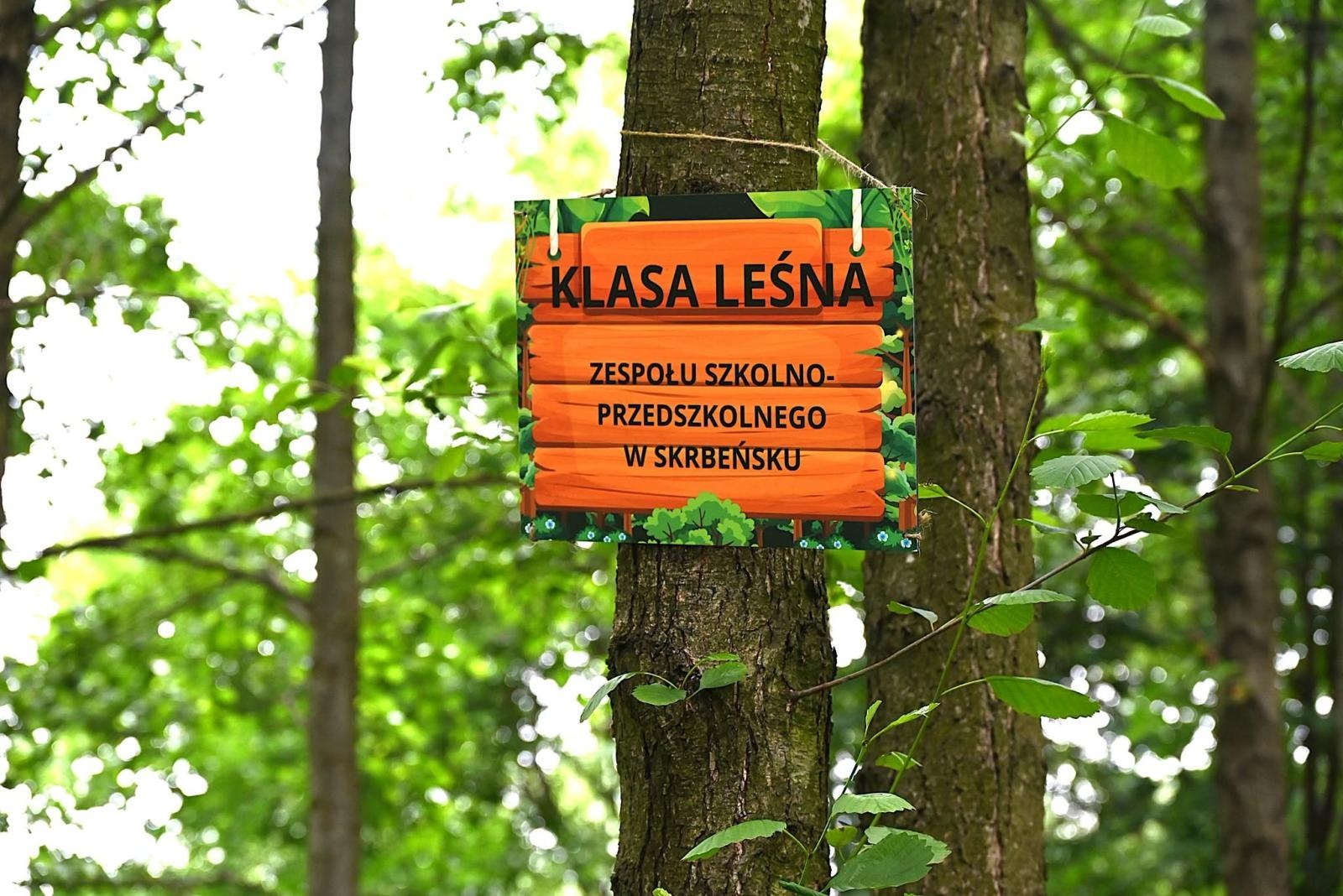 Zdjęcie w galerii na portalu naszwodzislaw.com: Edukacja w terenie. W Skrbeńsku powstała Leśna Szkoła wiadomości z regionu