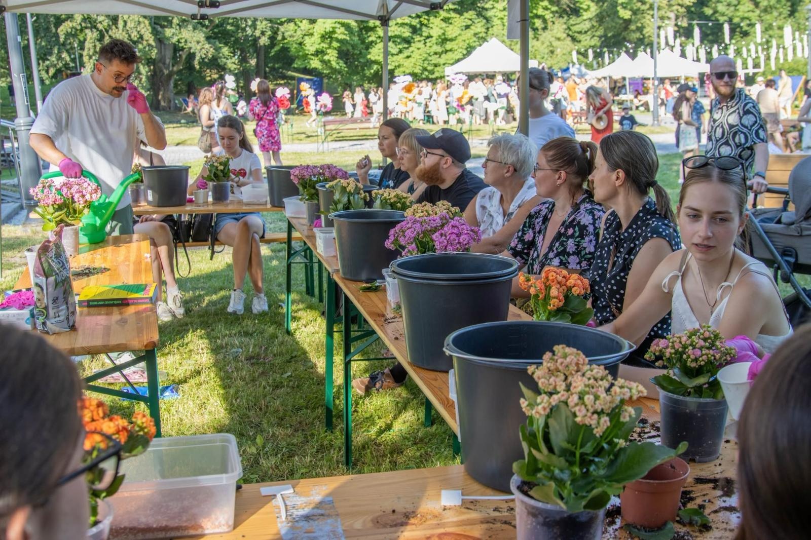 Zdjęcie w galerii na portalu naszwodzislaw.com: Od słowiańskich tradycji po ogniste widowisko. Tak świętowano Noc Świętojańską w Wodzisławiu [FOTO i WIDEO] wiadomości z regionu