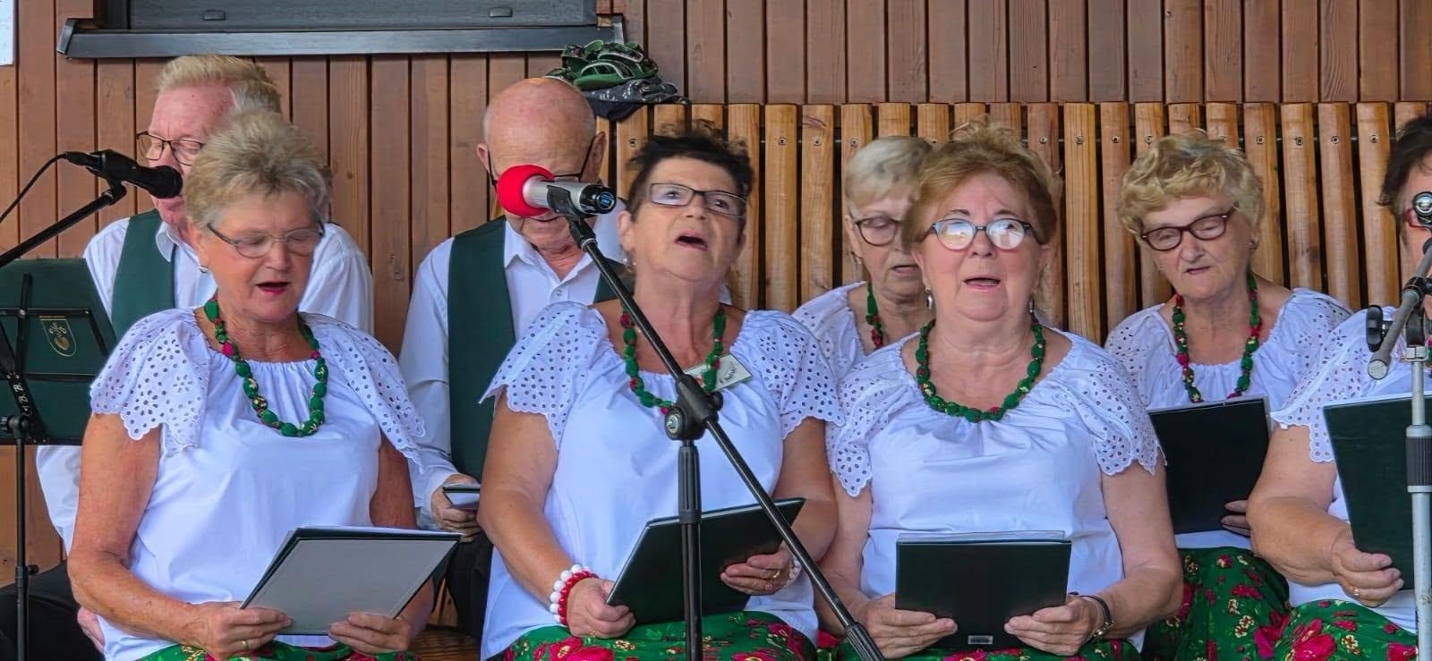 Zdjęcie w galerii na portalu naszwodzislaw.com: Letnie popołudnie z muzyką. Tężniogranie ponownie przyciągnęło mieszkańców Radlina wiadomości z regionu