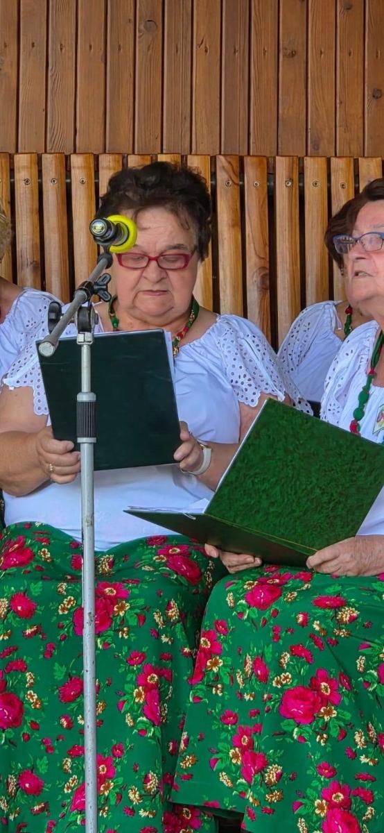Zdjęcie w galerii na portalu naszwodzislaw.com: Letnie popołudnie z muzyką. Tężniogranie ponownie przyciągnęło mieszkańców Radlina wiadomości z regionu