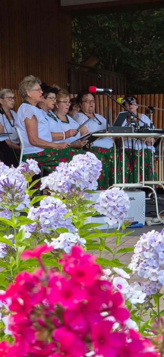 Zdjęcie w galerii na portalu naszwodzislaw.com: Letnie popołudnie z muzyką. Tężniogranie ponownie przyciągnęło mieszkańców Radlina wiadomości z regionu