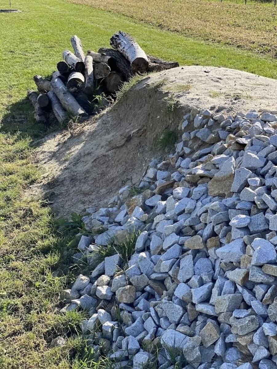 Zdjęcie w galerii na portalu naszwodzislaw.com: Dom z piasku dla dzikich pszczół powstanie w Radlinie. Mieszkańcy pomogą zbudować sandarium wiadomości z regionu