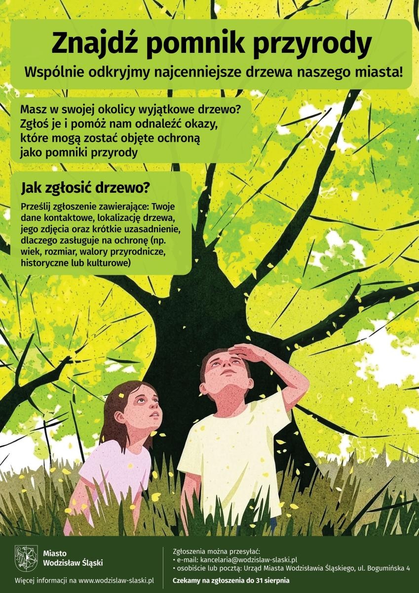 Zdjęcie w galerii na portalu naszwodzislaw.com: Masz w okolicy wyjątkowe drzewo? Wodzisław Śląski szuka przyszłych pomników przyrody wiadomości z regionu
