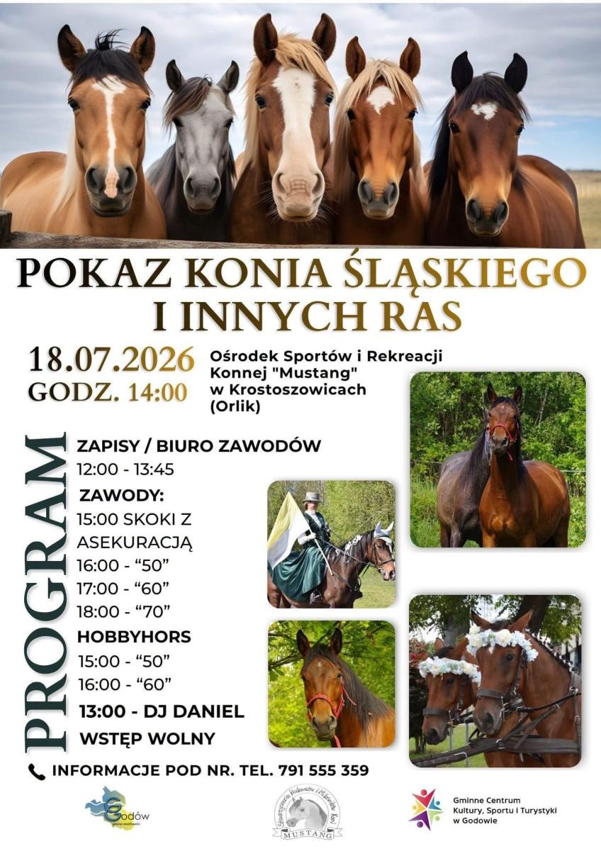 Zdjęcie w galerii na portalu naszwodzislaw.com: Konie, emocje i sportowa rywalizacja. Krostoszowice zapraszają na wyjątkowy pokaz wiadomości z regionu