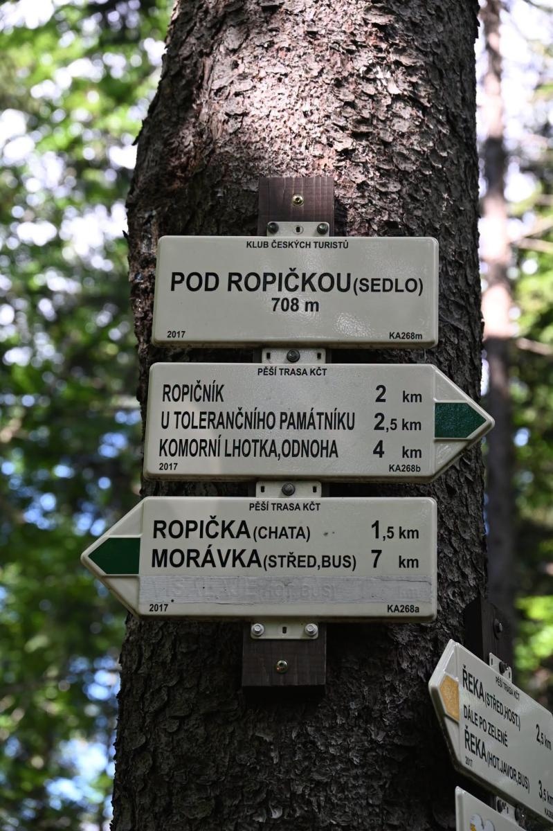 Zdjęcie w galerii na portalu naszwodzislaw.com: Beskidzkie widoki, czeskie szlaki i aktywny wypoczynek. Sobotnie wycieczki przyciągają mieszkańców wiadomości z regionu
