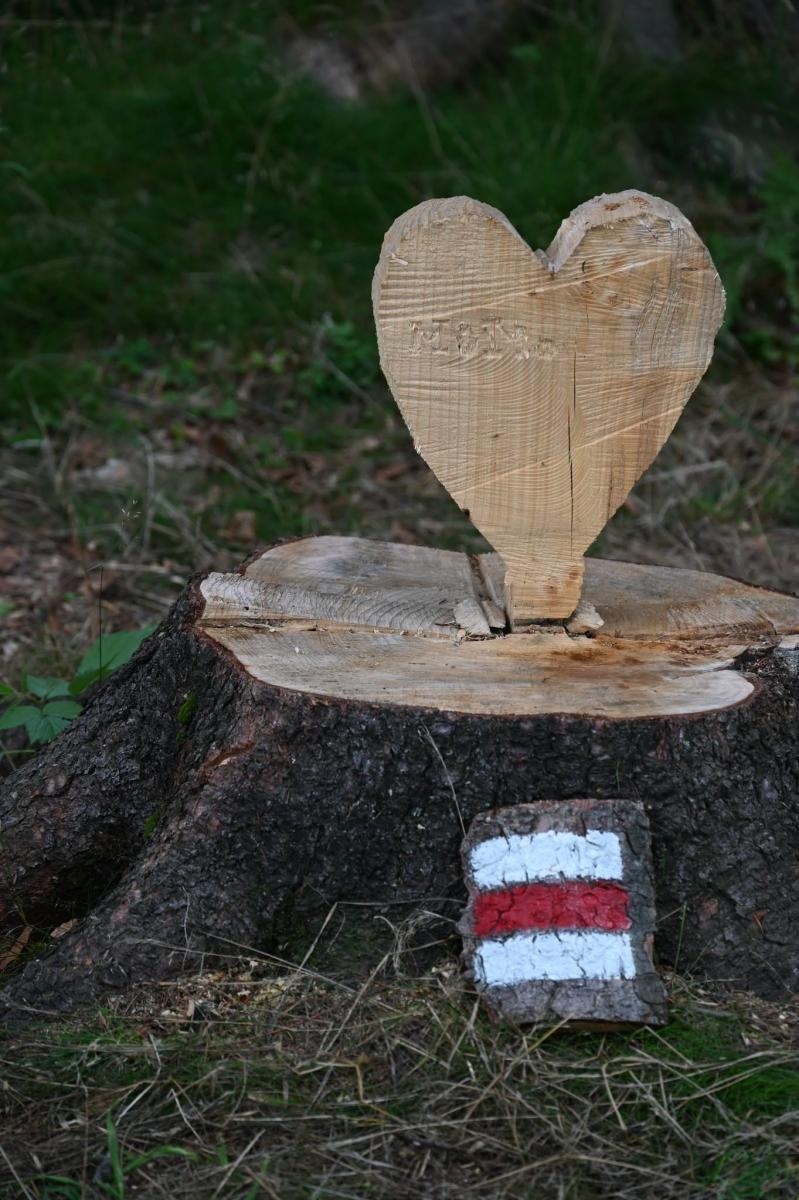 Zdjęcie w galerii na portalu naszwodzislaw.com: Beskidzkie widoki, czeskie szlaki i aktywny wypoczynek. Sobotnie wycieczki przyciągają mieszkańców wiadomości z regionu