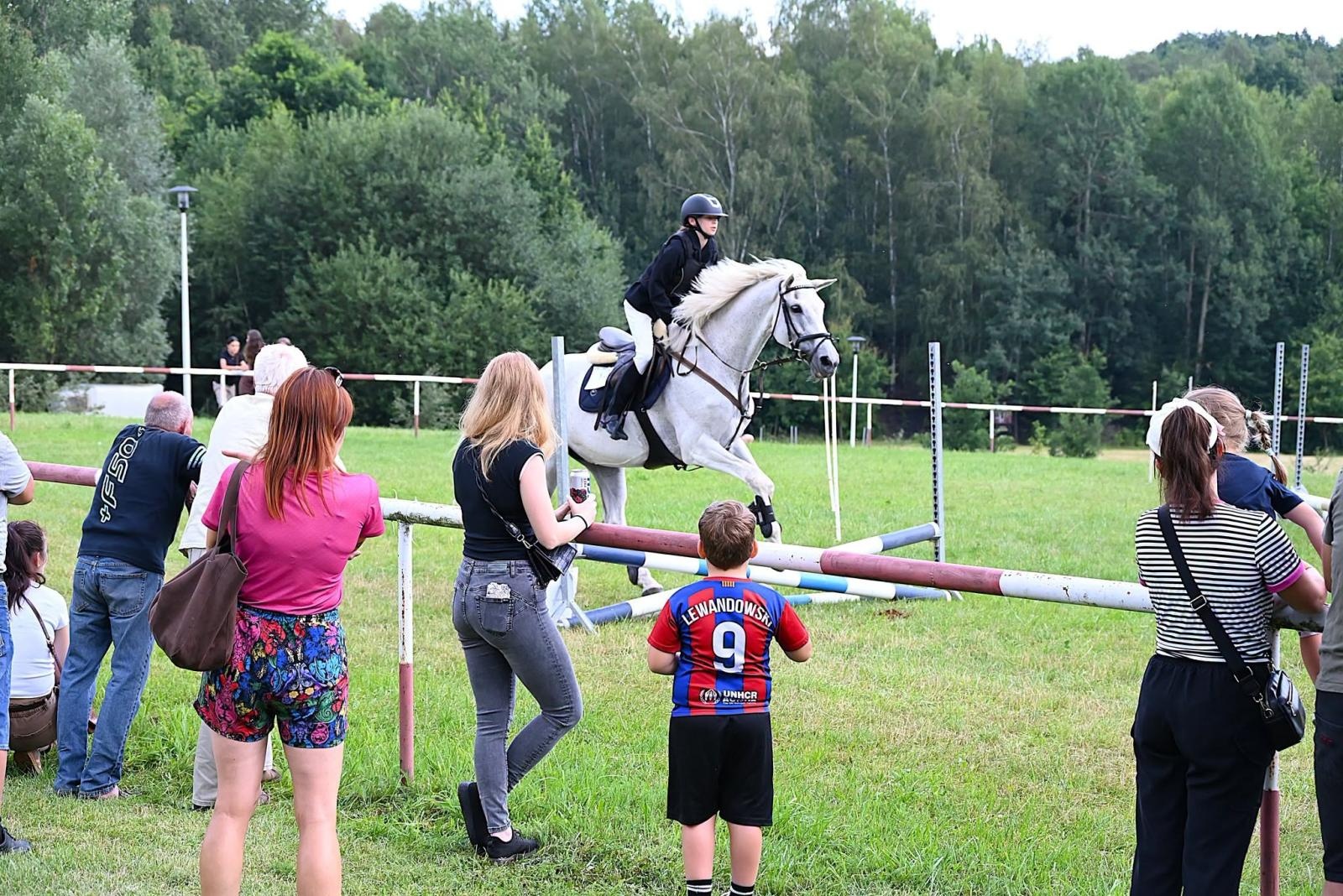 Zdjęcie w galerii na portalu naszwodzislaw.com: Nie tylko piękne, ale i niezwykle utalentowane. Konie oczarowały widzów w Krostoszowicach [FOTO] wiadomości z regionu