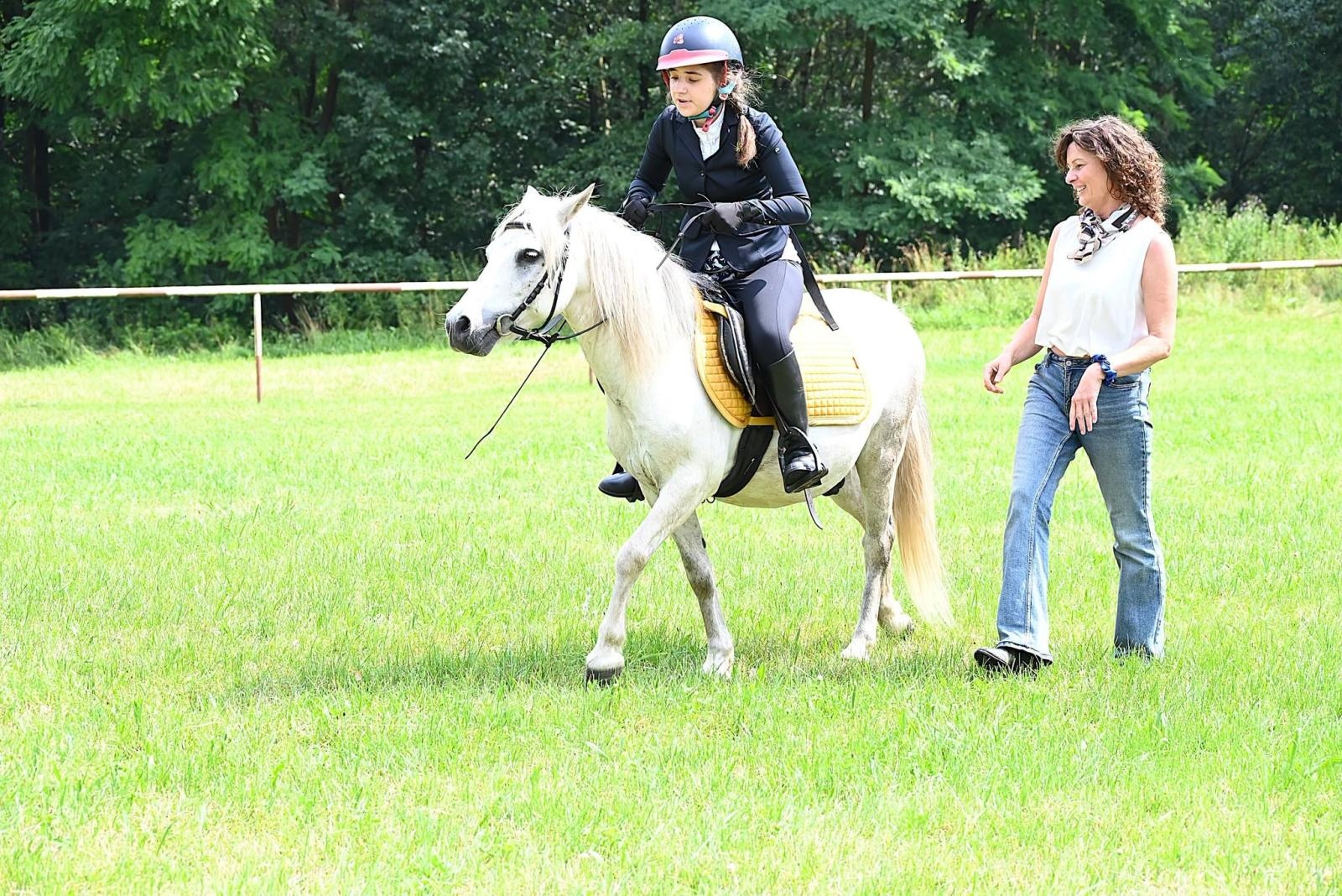 Zdjęcie w galerii na portalu naszwodzislaw.com: Nie tylko piękne, ale i niezwykle utalentowane. Konie oczarowały widzów w Krostoszowicach [FOTO] wiadomości z regionu