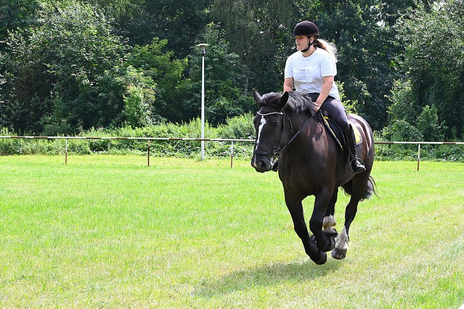 Zdjęcie w galerii na portalu naszwodzislaw.com: Nie tylko piękne, ale i niezwykle utalentowane. Konie oczarowały widzów w Krostoszowicach [FOTO] wiadomości z regionu