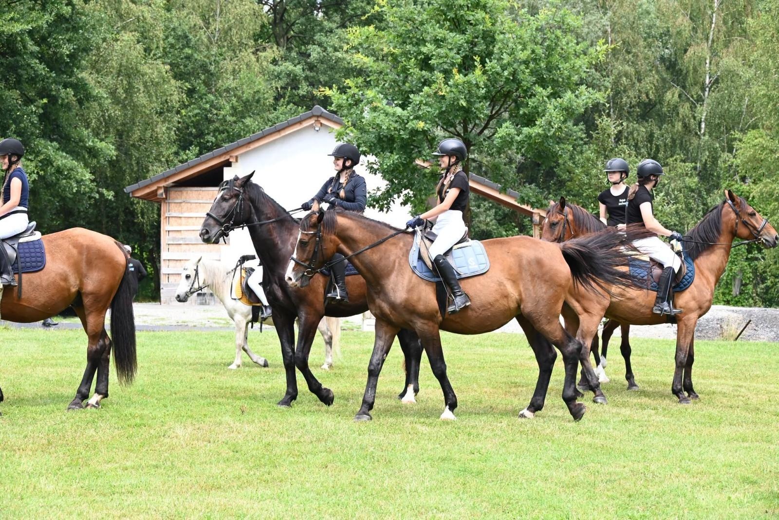 Zdjęcie w galerii na portalu naszwodzislaw.com: Nie tylko piękne, ale i niezwykle utalentowane. Konie oczarowały widzów w Krostoszowicach [FOTO] wiadomości z regionu