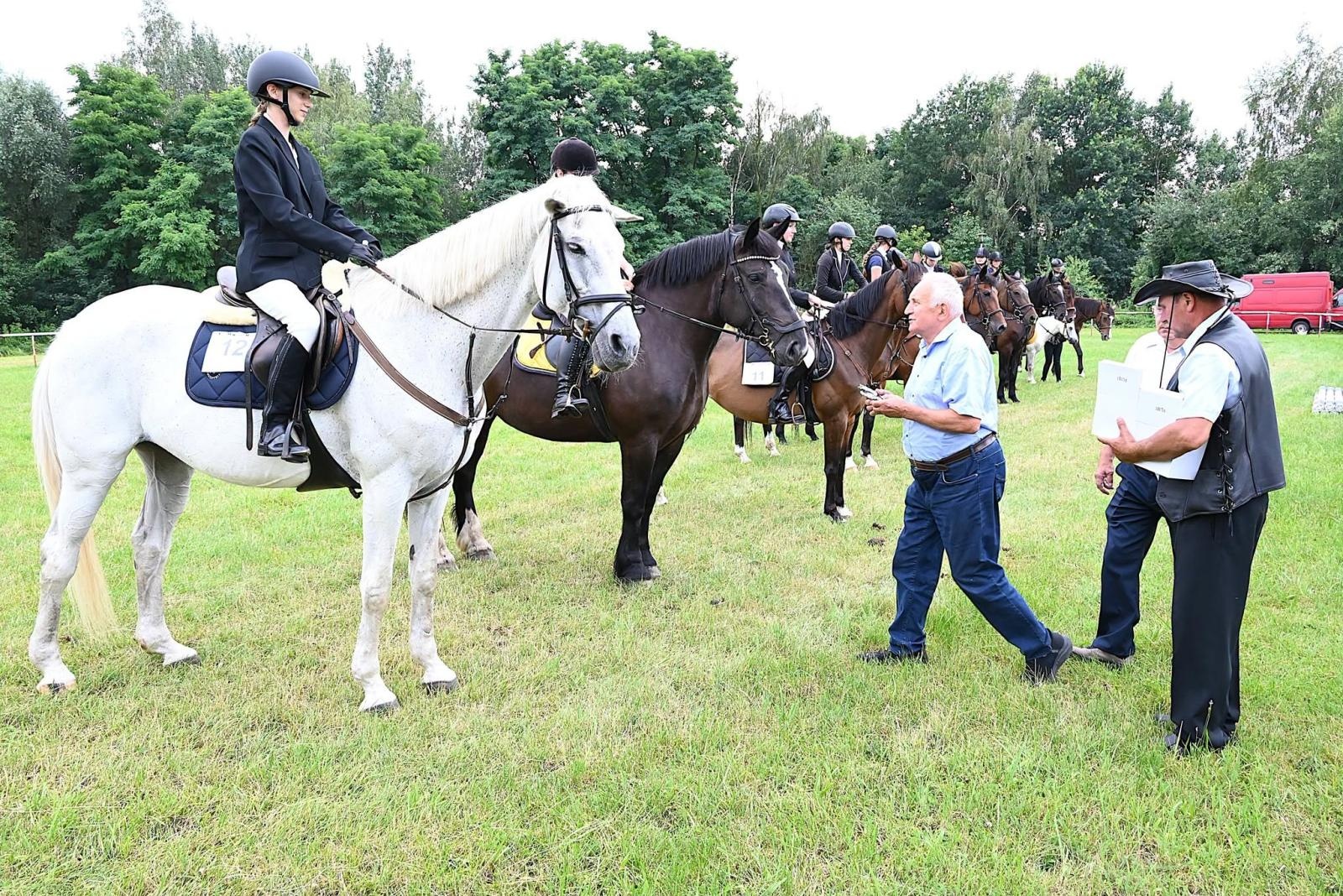Zdjęcie w galerii na portalu naszwodzislaw.com: Nie tylko piękne, ale i niezwykle utalentowane. Konie oczarowały widzów w Krostoszowicach [FOTO] wiadomości z regionu