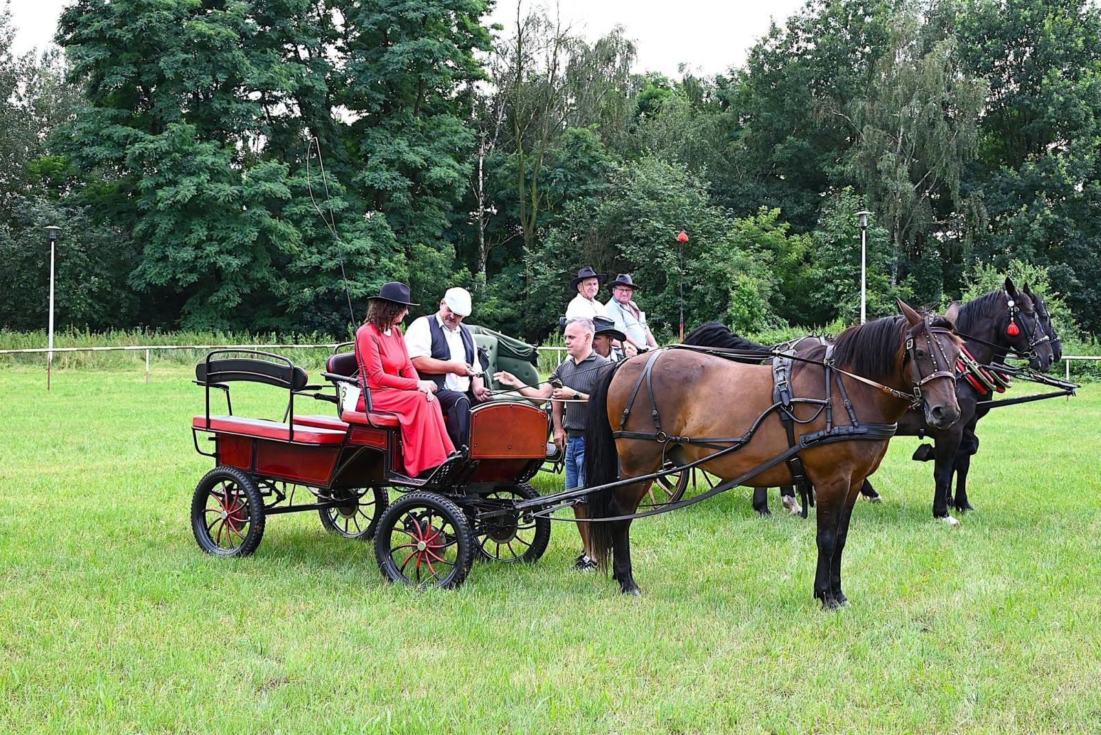 Zdjęcie w galerii na portalu naszwodzislaw.com: Nie tylko piękne, ale i niezwykle utalentowane. Konie oczarowały widzów w Krostoszowicach [FOTO] wiadomości z regionu