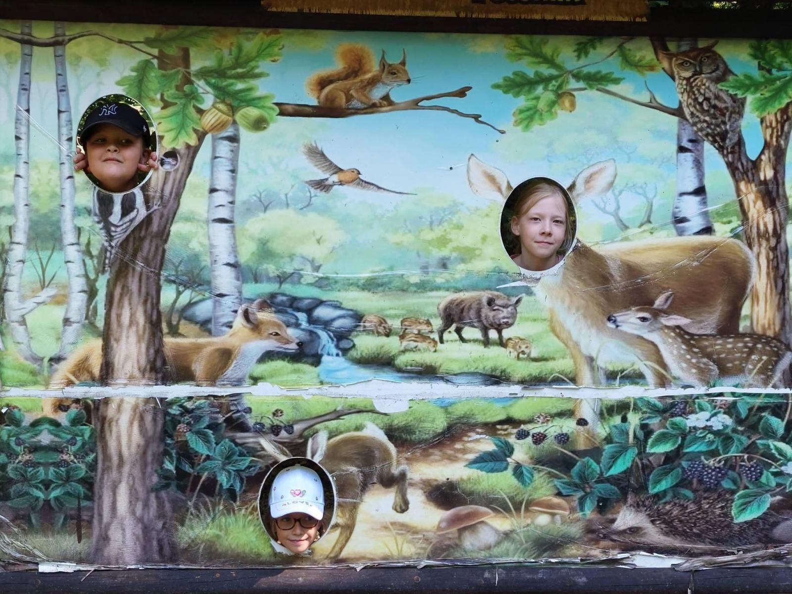 Zdjęcie w galerii na portalu naszwodzislaw.com: Wakacje z MOK Radlin pełne przygód. Dzieci odkrywały tajemnice Arboretum Bramy Morawskiej wiadomości z regionu