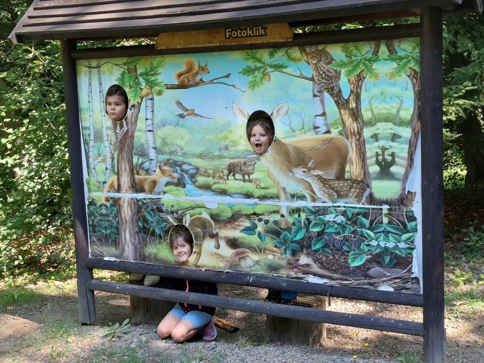 Zdjęcie w galerii na portalu naszwodzislaw.com: Wakacje z MOK Radlin pełne przygód. Dzieci odkrywały tajemnice Arboretum Bramy Morawskiej wiadomości z regionu
