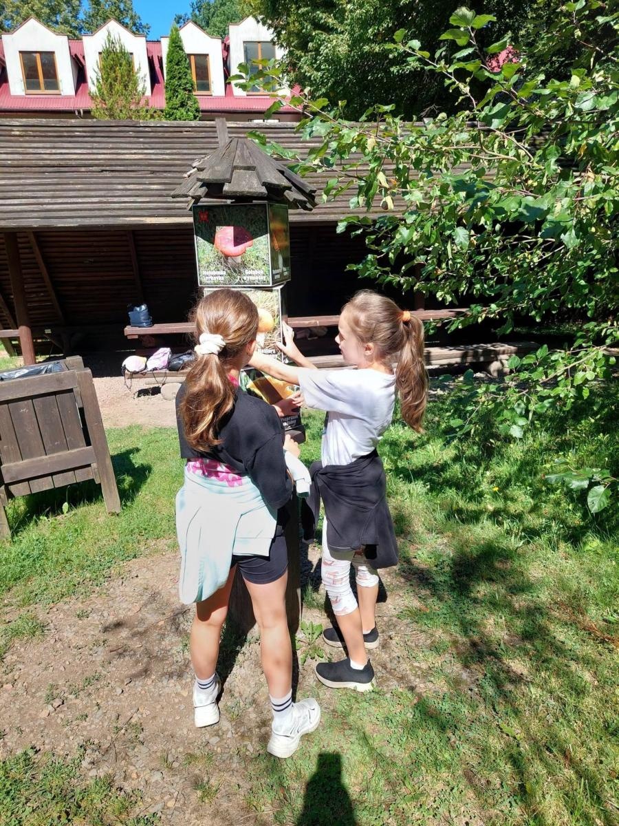 Zdjęcie w galerii na portalu naszwodzislaw.com: Wakacje z MOK Radlin pełne przygód. Dzieci odkrywały tajemnice Arboretum Bramy Morawskiej wiadomości z regionu