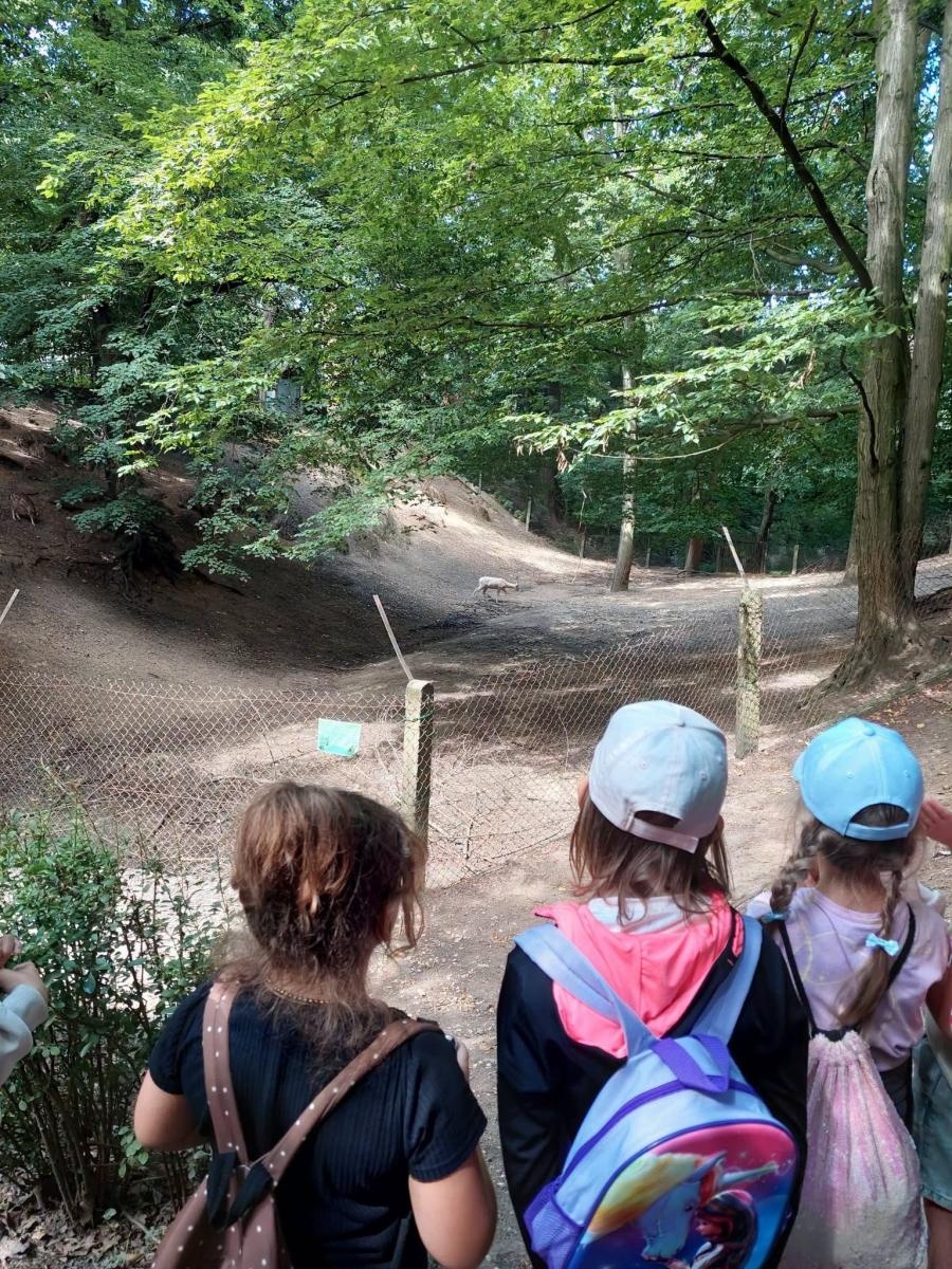 Zdjęcie w galerii na portalu naszwodzislaw.com: Wakacje z MOK Radlin pełne przygód. Dzieci odkrywały tajemnice Arboretum Bramy Morawskiej wiadomości z regionu