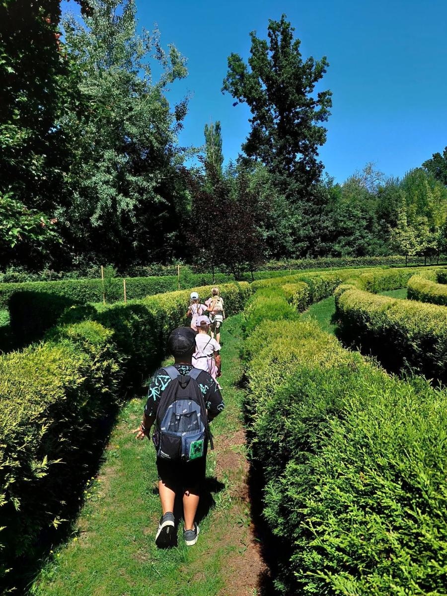 Zdjęcie w galerii na portalu naszwodzislaw.com: Wakacje z MOK Radlin pełne przygód. Dzieci odkrywały tajemnice Arboretum Bramy Morawskiej wiadomości z regionu