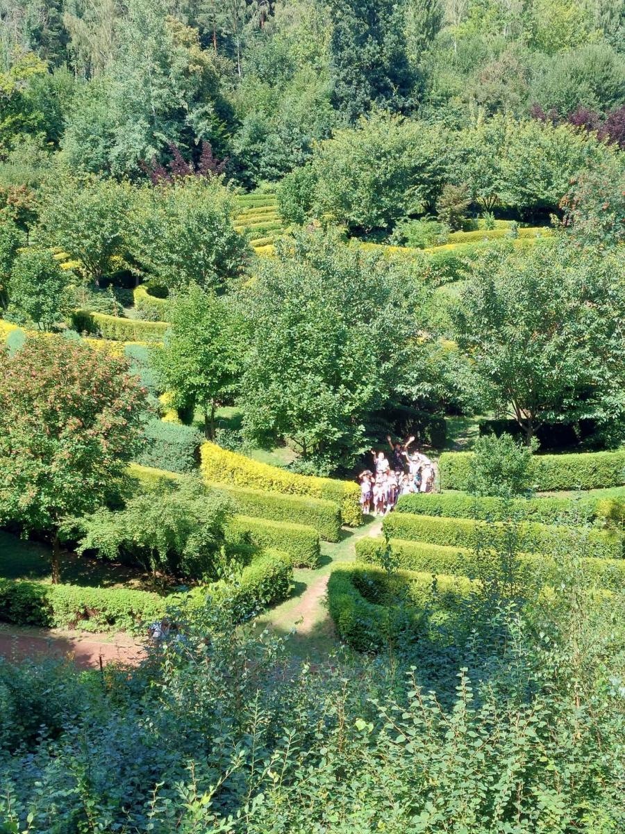 Zdjęcie w galerii na portalu naszwodzislaw.com: Wakacje z MOK Radlin pełne przygód. Dzieci odkrywały tajemnice Arboretum Bramy Morawskiej wiadomości z regionu