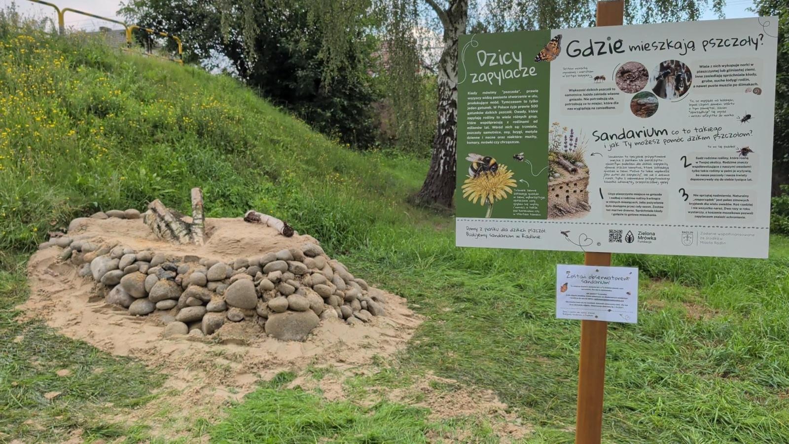 Zdjęcie w galerii na portalu naszwodzislaw.com: W Radlinie powstało sandarium. Dzikie pszczoły zyskały nowe miejsce do życia wiadomości z regionu