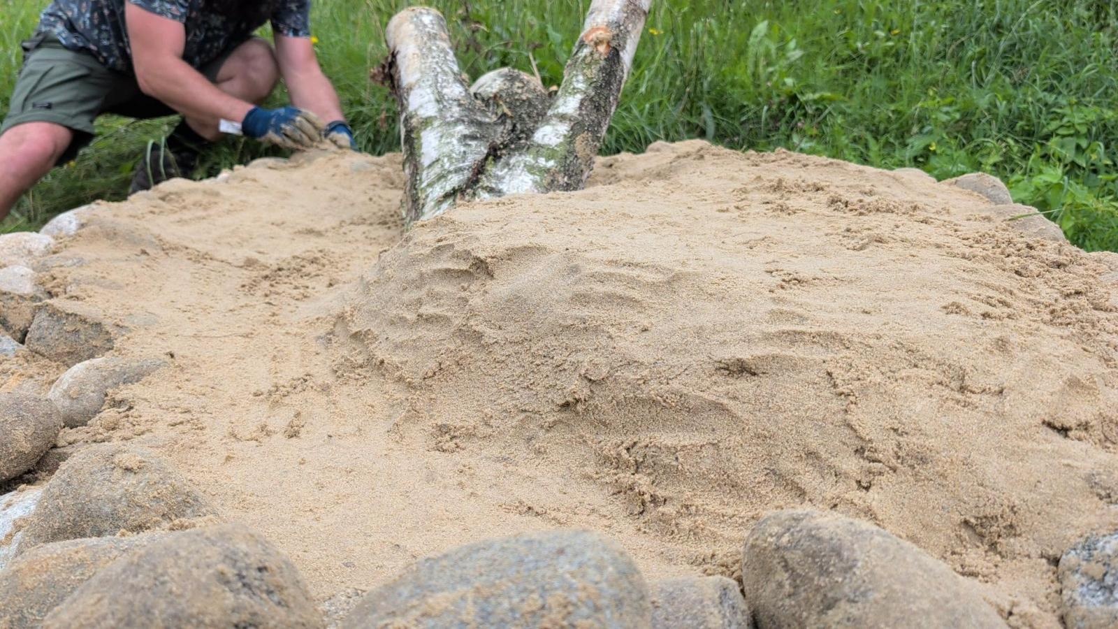 Zdjęcie w galerii na portalu naszwodzislaw.com: W Radlinie powstało sandarium. Dzikie pszczoły zyskały nowe miejsce do życia wiadomości z regionu