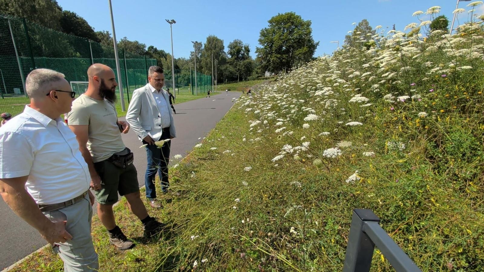 Zdjęcie w galerii na portalu naszwodzislaw.com: W Radlinie powstało sandarium. Dzikie pszczoły zyskały nowe miejsce do życia wiadomości z regionu