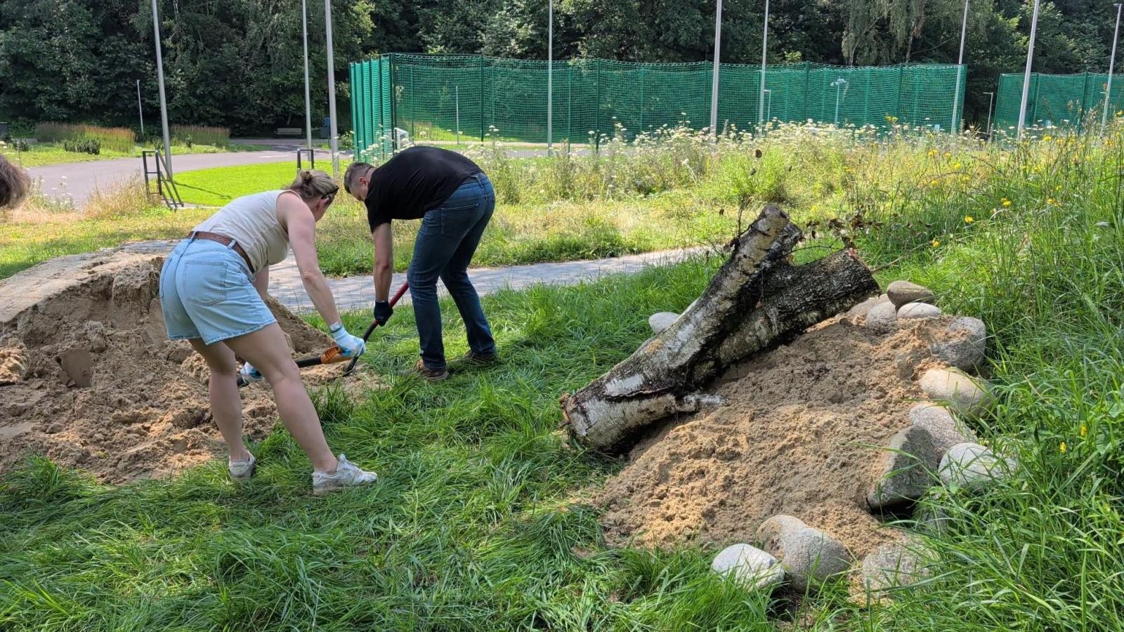 Zdjęcie w galerii na portalu naszwodzislaw.com: W Radlinie powstało sandarium. Dzikie pszczoły zyskały nowe miejsce do życia wiadomości z regionu