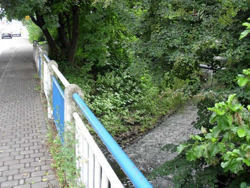 Zdjęcie w galerii na portalu naszwodzislaw.com: Eko patrol chwali się sukcesami wiadomości z regionu