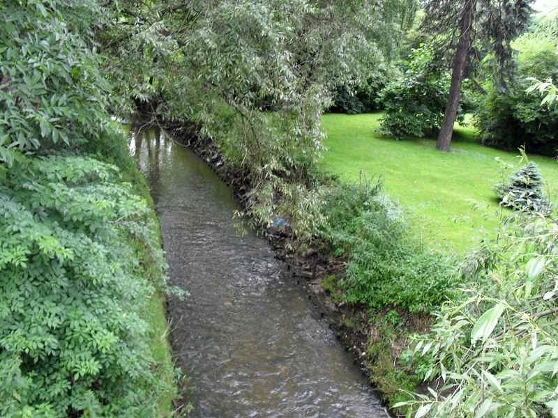 Zdjęcie w galerii na portalu naszwodzislaw.com: Eko patrol chwali się sukcesami wiadomości z regionu