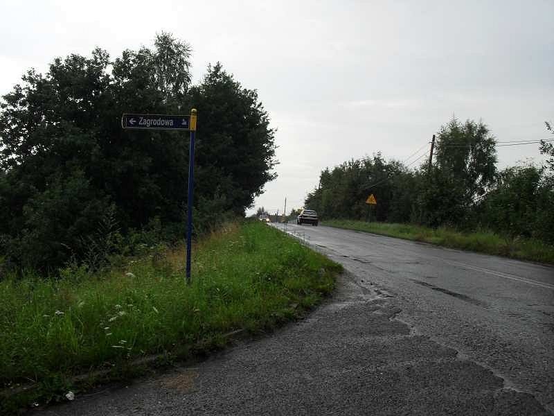 Zdjęcie w galerii na portalu naszwodzislaw.com: Eko patrol chwali się sukcesami wiadomości z regionu