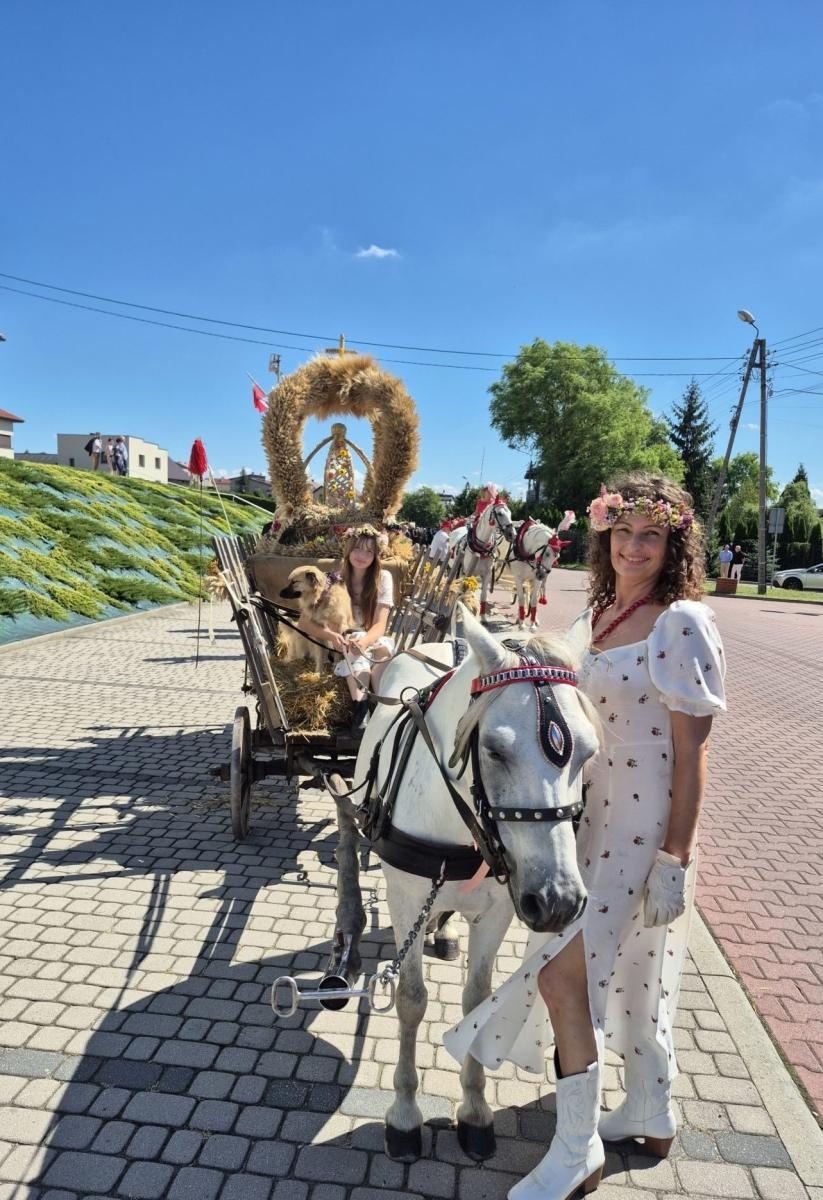 Zdjęcie w galerii na portalu naszwodzislaw.com: Krostoszowice i Podbucze świętowały na całego. Tak wyglądały wojewódzkie dożynki wiadomości z regionu