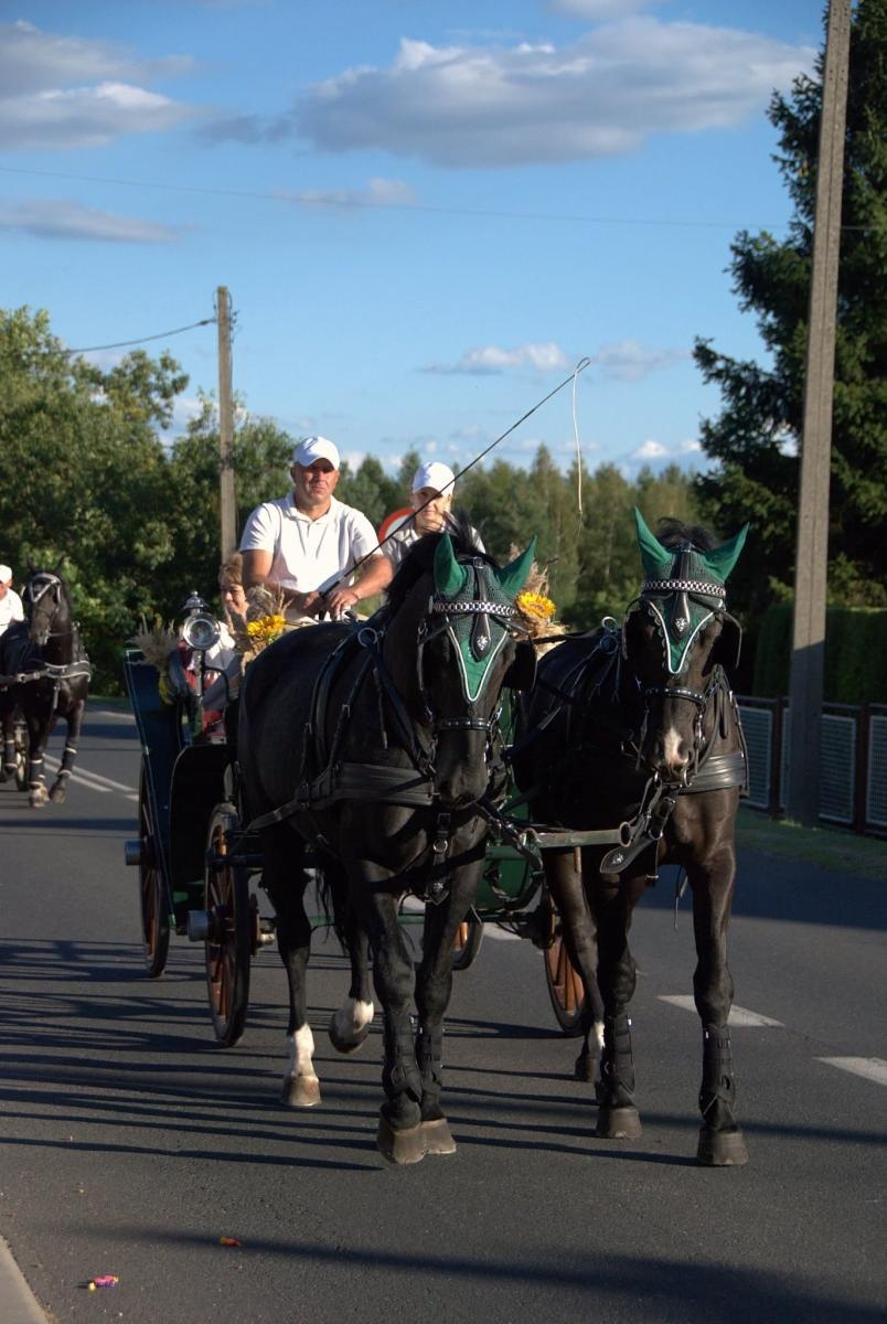 Zdjęcie w galerii na portalu naszwodzislaw.com: Pszów podziękował za plony. Dożynki przyciągnęły mieszkańców i gości [FOTO] wiadomości z regionu