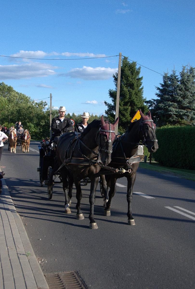 Zdjęcie w galerii na portalu naszwodzislaw.com: Pszów podziękował za plony. Dożynki przyciągnęły mieszkańców i gości [FOTO] wiadomości z regionu