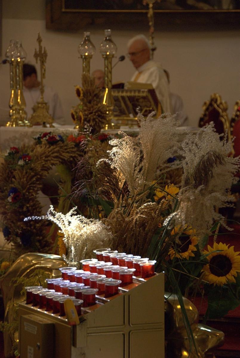 Zdjęcie w galerii na portalu naszwodzislaw.com: Pszów podziękował za plony. Dożynki przyciągnęły mieszkańców i gości [FOTO] wiadomości z regionu