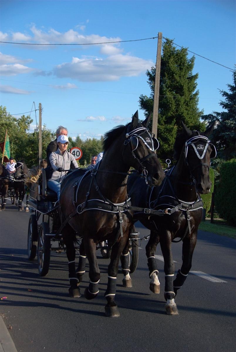 Zdjęcie w galerii na portalu naszwodzislaw.com: Pszów podziękował za plony. Dożynki przyciągnęły mieszkańców i gości [FOTO] wiadomości z regionu