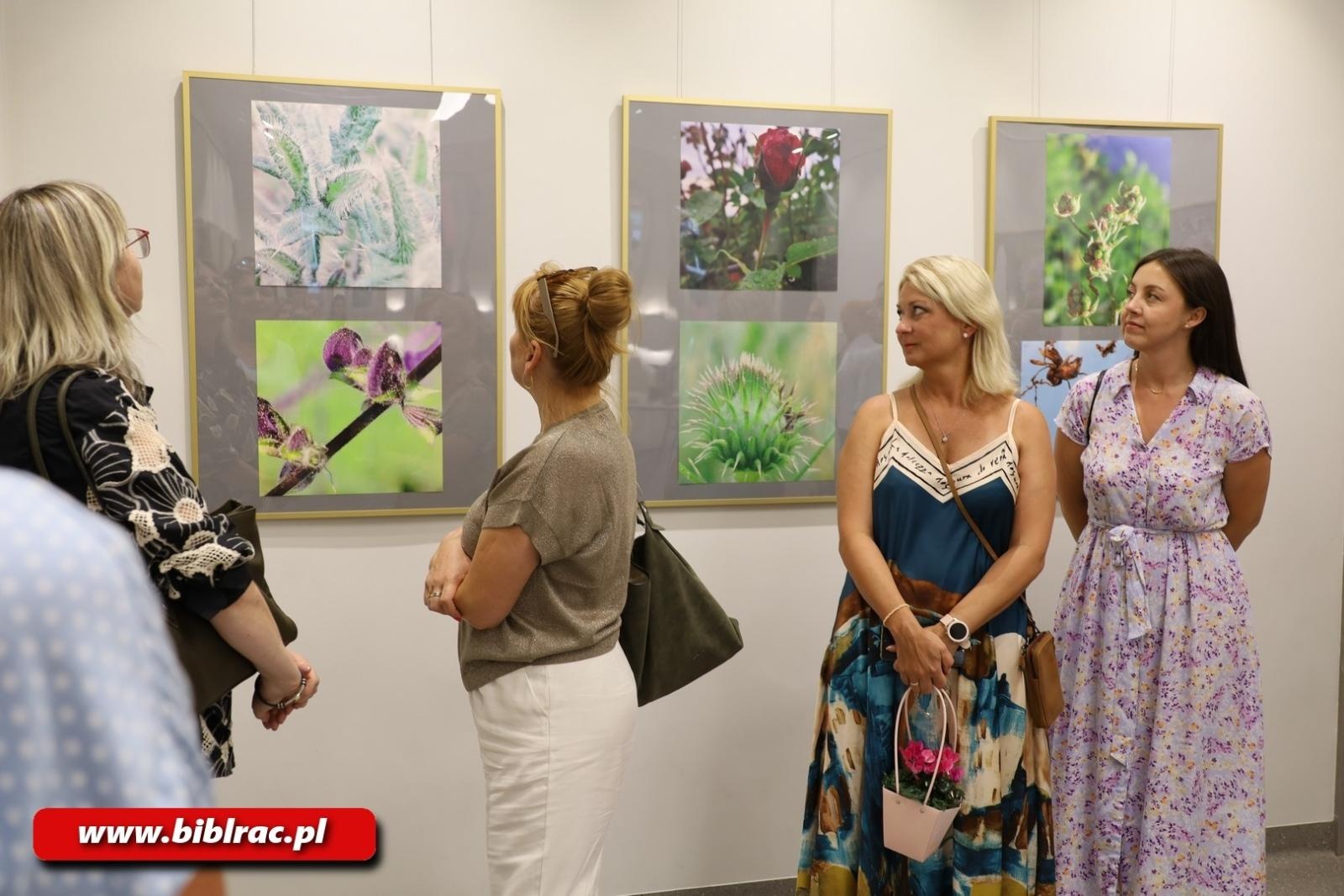 Zdjęcie w galerii na portalu naszwodzislaw.com: Natura jest kobietą – nowa wystawa w bibliotecznej Galerii Gawra wiadomości z regionu