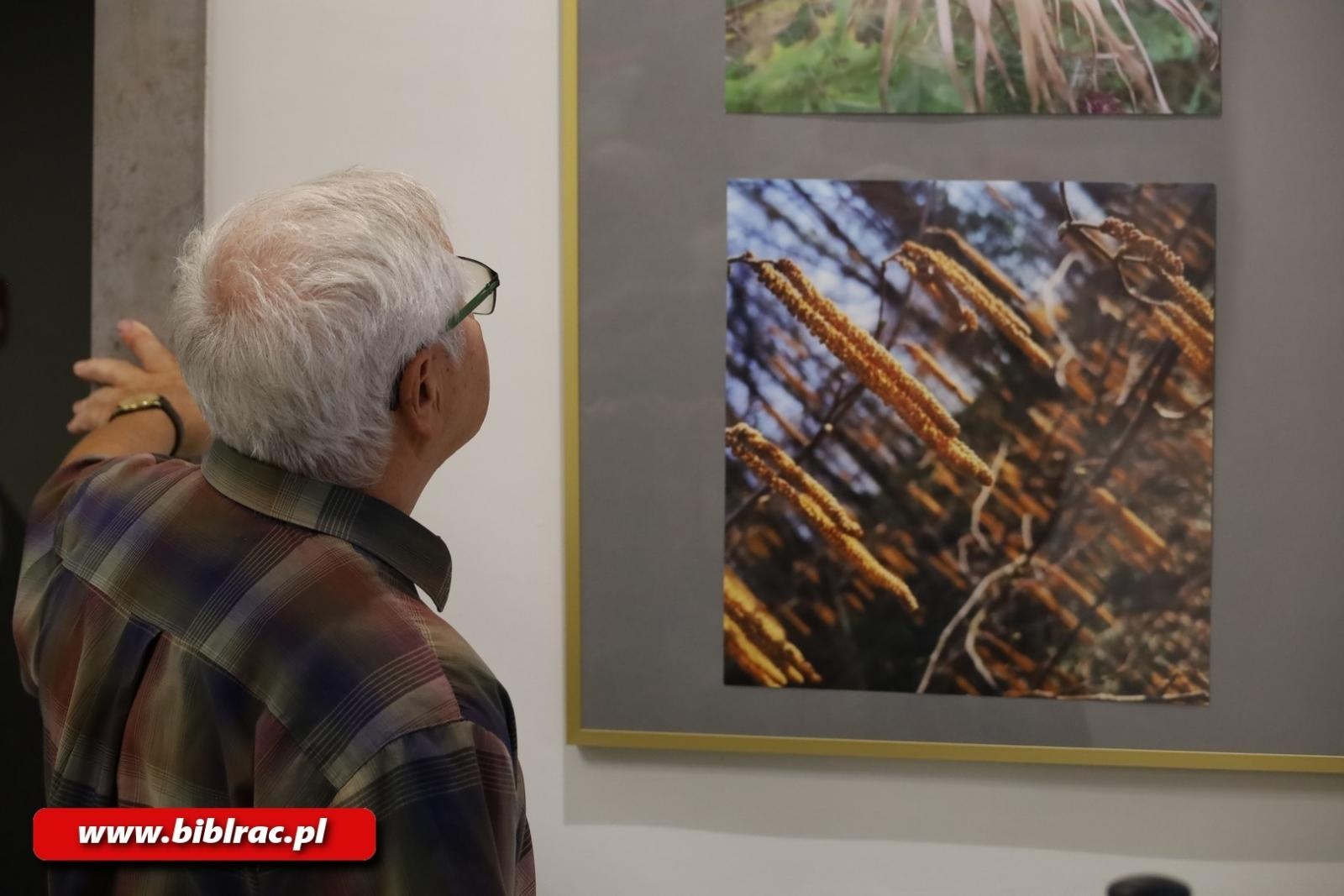 Zdjęcie w galerii na portalu naszwodzislaw.com: Natura jest kobietą – nowa wystawa w bibliotecznej Galerii Gawra wiadomości z regionu