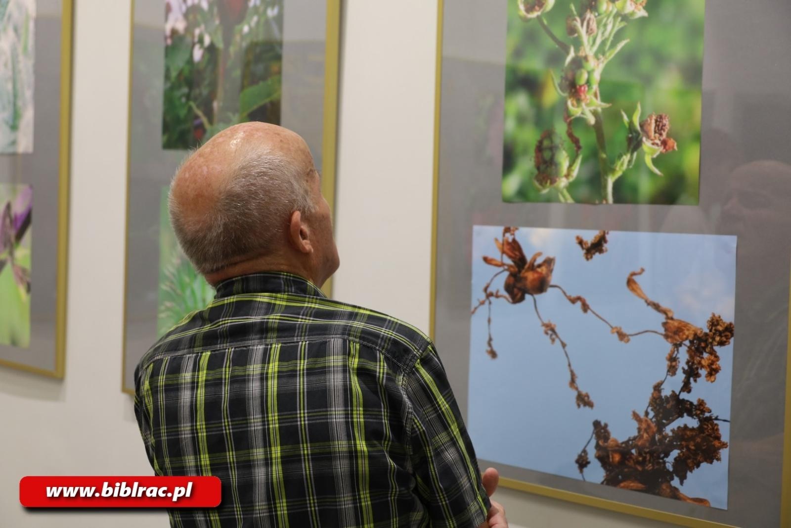 Zdjęcie w galerii na portalu naszwodzislaw.com: Natura jest kobietą – nowa wystawa w bibliotecznej Galerii Gawra wiadomości z regionu