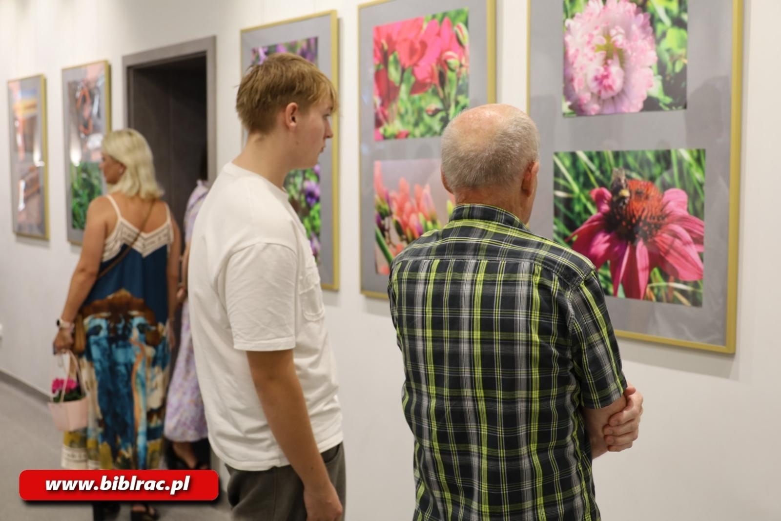 Zdjęcie w galerii na portalu naszwodzislaw.com: Natura jest kobietą – nowa wystawa w bibliotecznej Galerii Gawra wiadomości z regionu