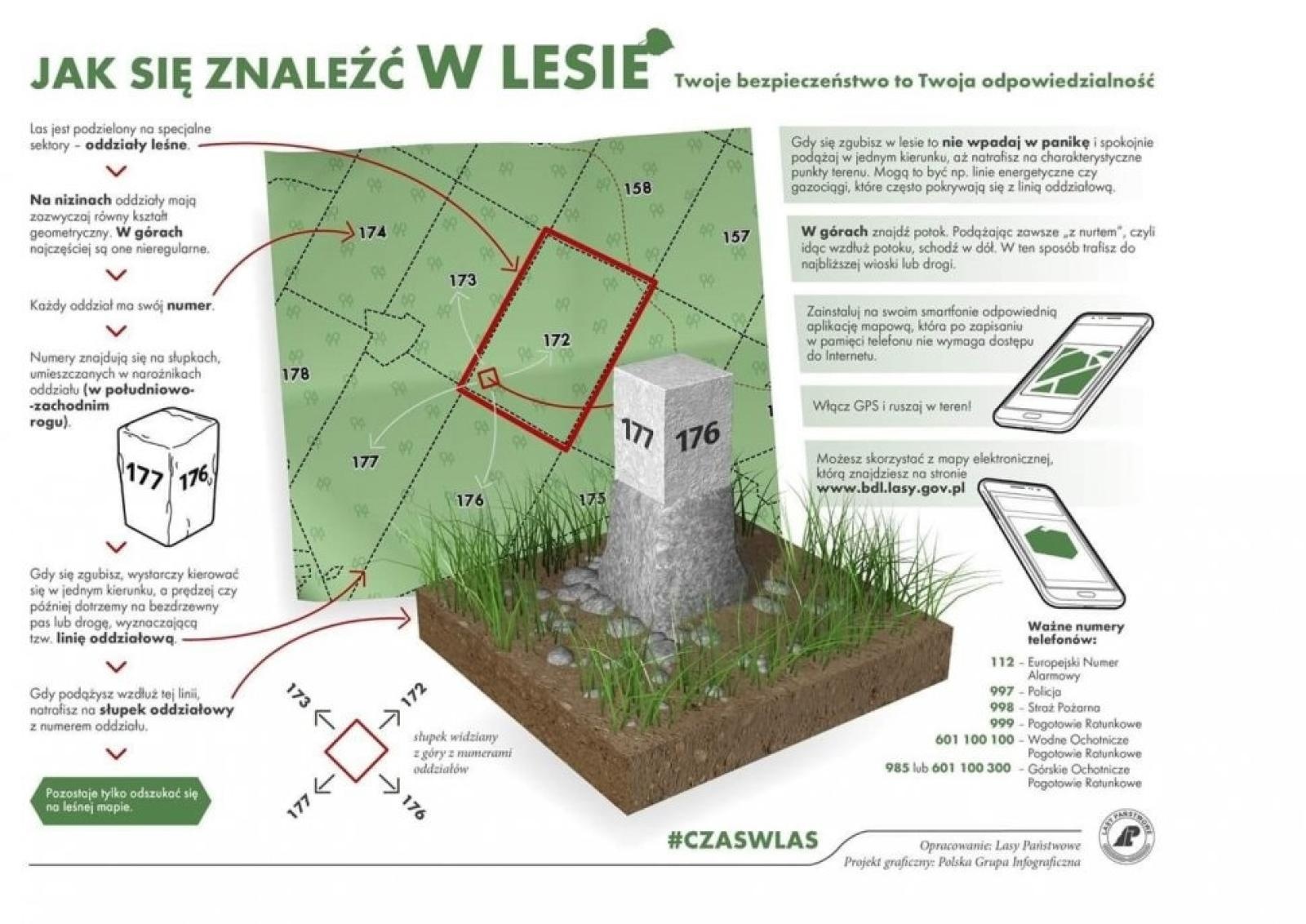 Zdjęcie w galerii na portalu naszwodzislaw.com: Wyruszasz na grzyby? Policja przypomina o najważniejszych zasadach bezpieczeństwa wiadomości z regionu