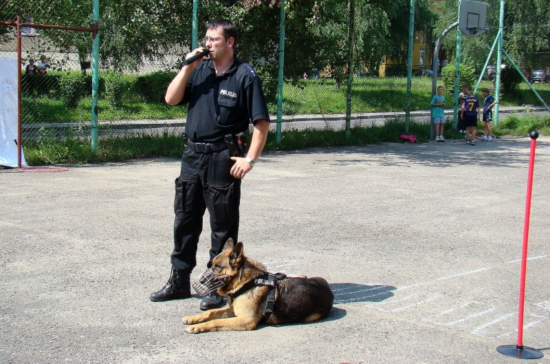 Zdjęcie w galerii na portalu naszwodzislaw.com: Sznupek i Toro z wizytą na Maju wiadomości z regionu