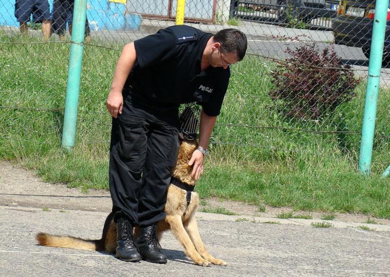 Zdjęcie w galerii na portalu naszwodzislaw.com: Sznupek i Toro z wizytą na Maju wiadomości z regionu
